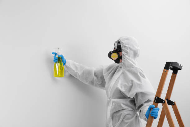 Mart, TX Mold Removal Company